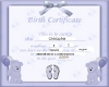 Birth certificate 3