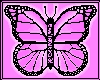 Pink Freedom Butterfly
