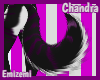 Chandra Tail 1