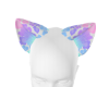PF Ivory Ears 1