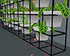 金 Plant Indoor Divider