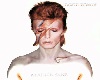 Ziggy Stardust sticker