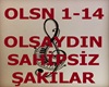 OLSAYDIN