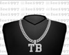 TB custom chain