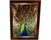 ~MR~Peacock 2 side frame