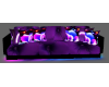 black purple couch
