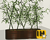 [IH] Bamboo 