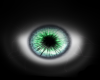 Light Green Eye (F)