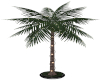 R~ Island Palm w/ Lights