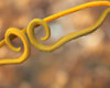 Headband of Sun Wukong