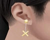 [A] Earring Gold anim M