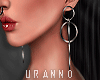 U. Loop Earrings