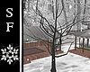 SF~ Winter Tree-2