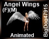 [BD] Angel Wings (F)(M)