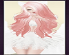 Shy Kitty Cat Pink Cats