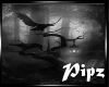 *P*Crow1