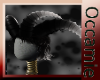 Conquest Black Horns