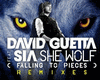 D Guetta/SIA-She WOLF