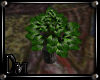 DM" Plant Flowerpot 1