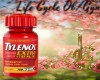 LC: Tylenol Pain Pills