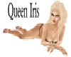 Queen Iris P1