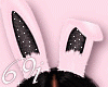 Cute Bunny Pink Bundle