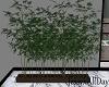 Deco Plant
