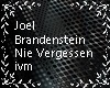 JoelBrandenstein-nie