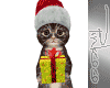 P!NK | Christmas Cat