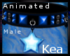 K!t- Kea Animated Collar