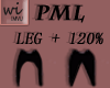 Scaler│PML +120