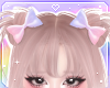 🌙 Twin Bows Cotton