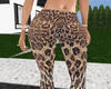 rawr capri RLL