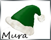 Green Santa Hat