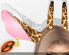 Giraffe Ears [Animated]