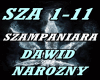 NAROZNY - SZAMPANIARA