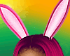 P/EASTER BUNNY EARS