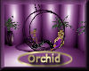 [my]Orchid Wild Hammock