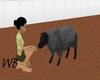 Animated Black Sheep