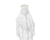 my veil