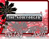j| The Soulforged