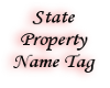 StateProperty Name Tag