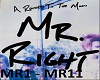 S~ARTTM-Mr.Right