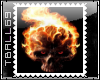 ghost rider skull stamp