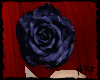 Darkblue rose for hair