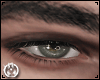 Animated Eyelights 3.0