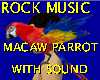 Rock Music Macaw