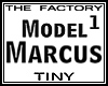 TF Model Marcus1 Tiny