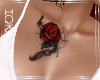 IO-Red Rose Passion