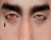 Asteri Brown ++/-